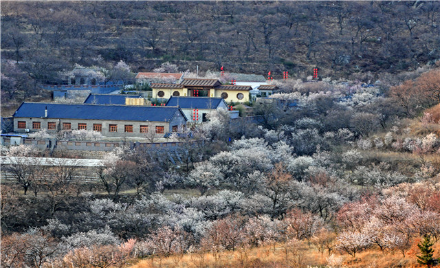 青岛康大豪生婚宴_青岛康大豪生酒店spa怎么样_青岛康大豪生大酒店