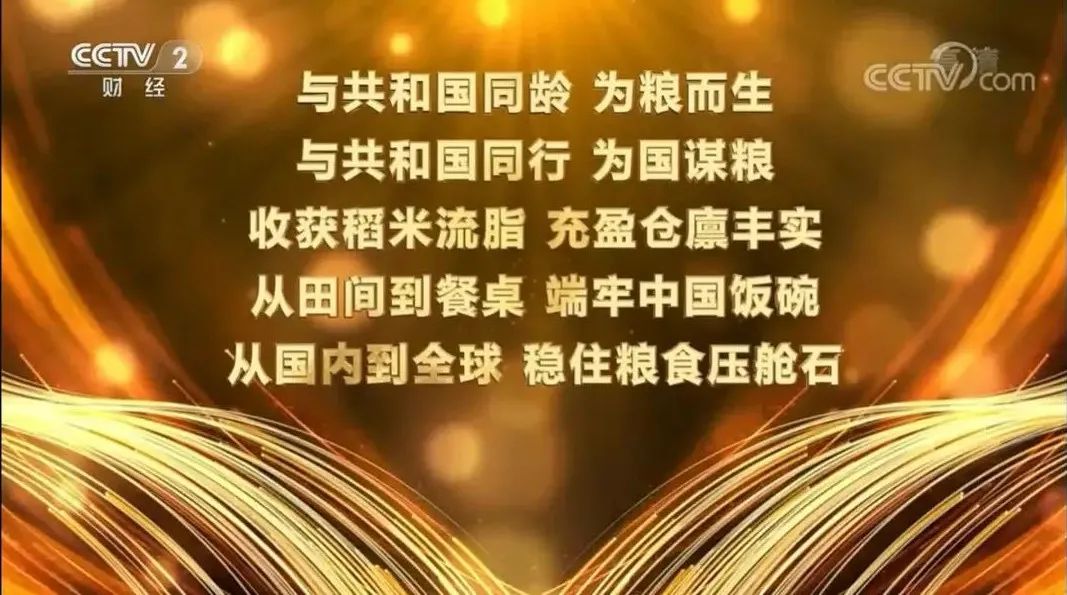 力量训练器械使用方法_综合力量训练器品牌_力量训练器械品牌