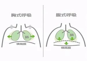 腹式呼吸可以干嘛_哪些人不能做腹式呼吸_腹式呼吸可以坐着做吗