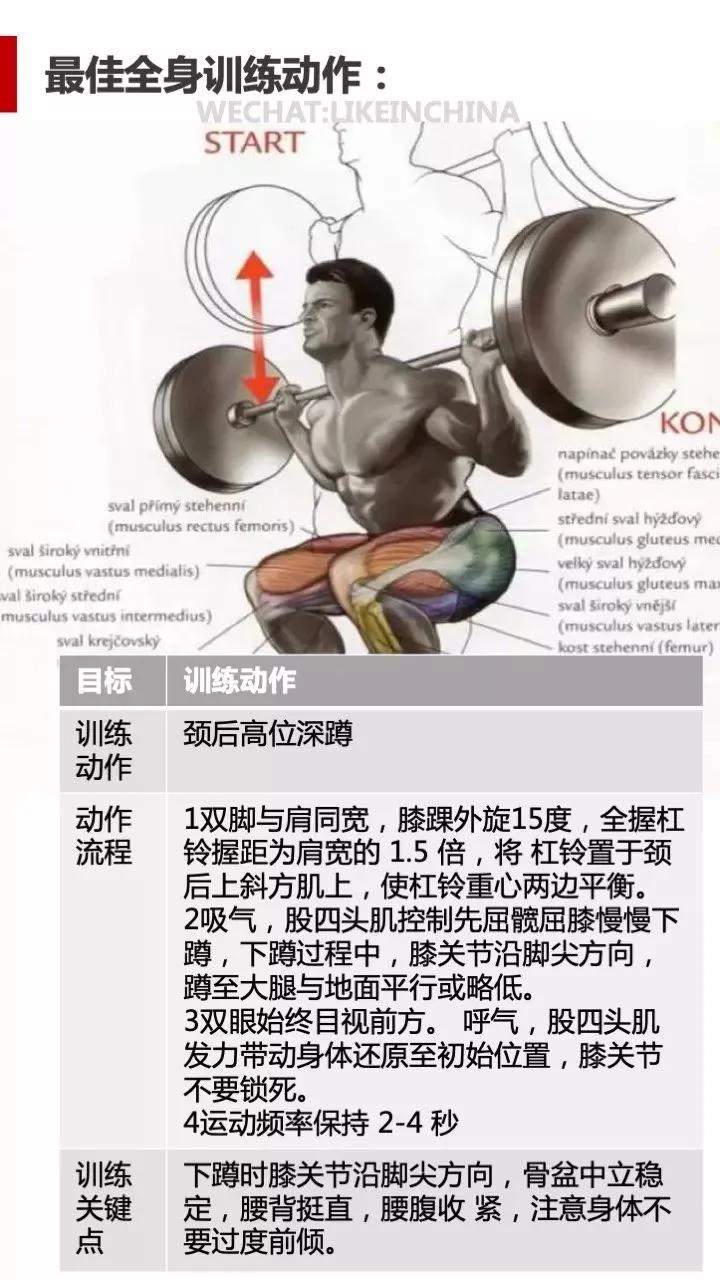 冠状面有哪些健身动作_冠状面有哪些健身动作_冠状面有哪些健身动作