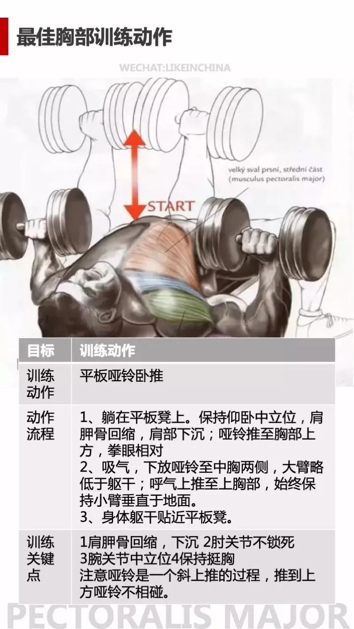 冠状面有哪些健身动作_冠状面有哪些健身动作_冠状面有哪些健身动作