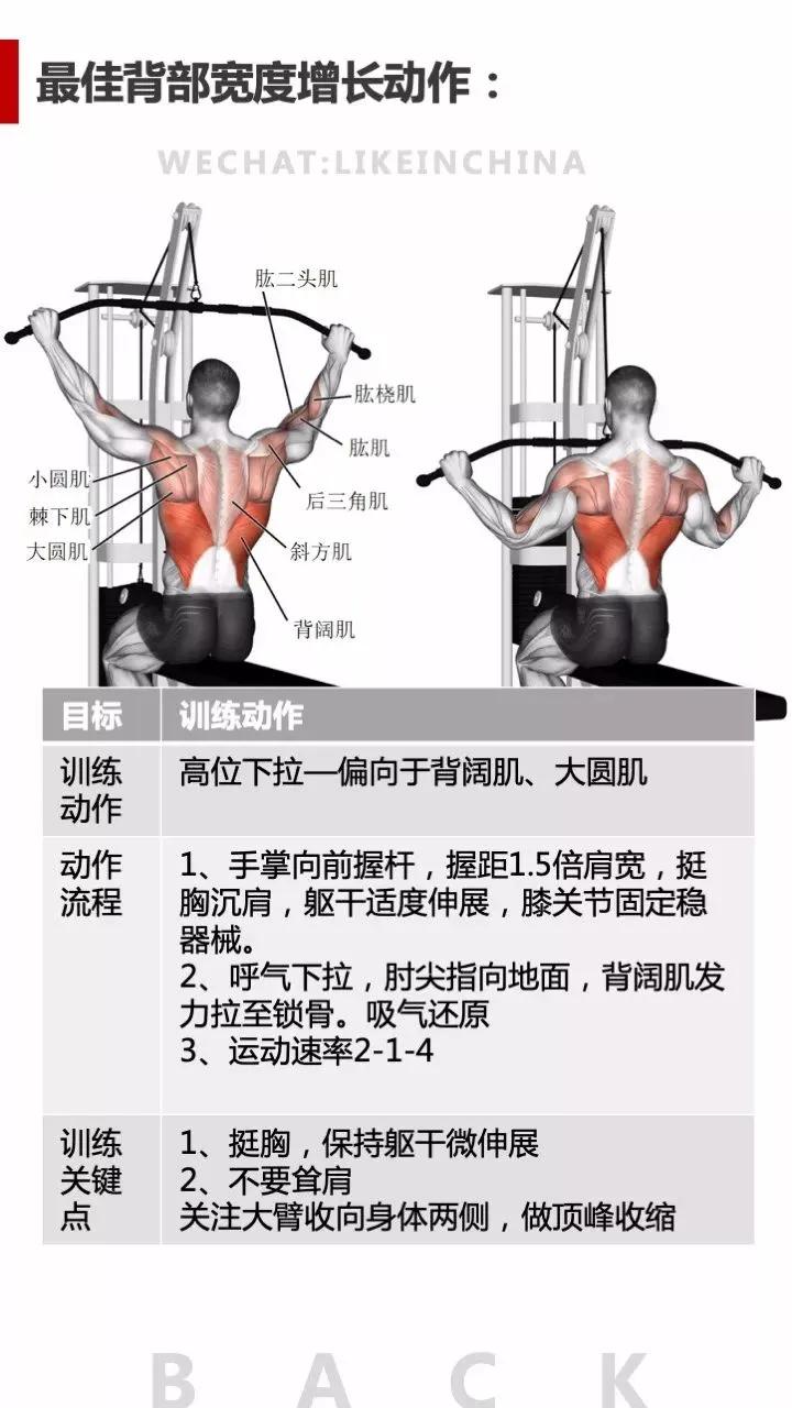 冠状面有哪些健身动作_冠状面有哪些健身动作_冠状面有哪些健身动作