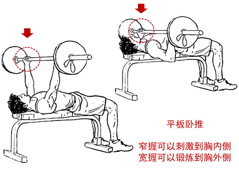 如果练下胸_女性能不能练下胸_女性能练下胸吗