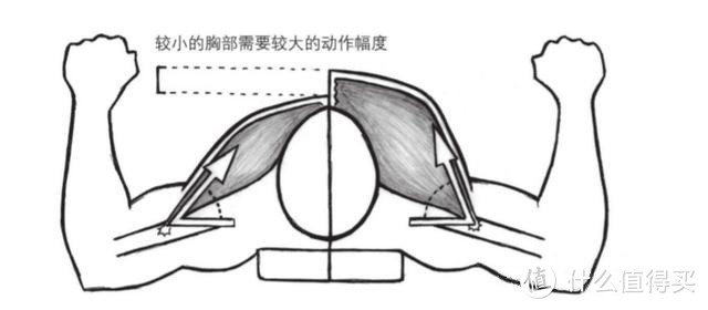 胸部位置相对于手臂位置更高，发力方向就会越接近于垂直