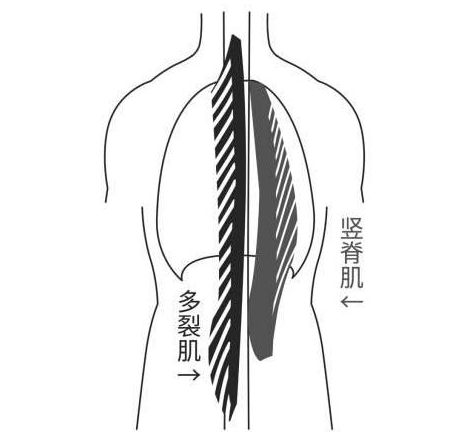 疼练腿深蹲继续应该天天练吗_练深蹲腿疼怎么办_深蹲第二天腿疼应该继续练吗