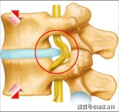 0重力跑步机_alterg反重力跑步机官网_国内反重力跑步机