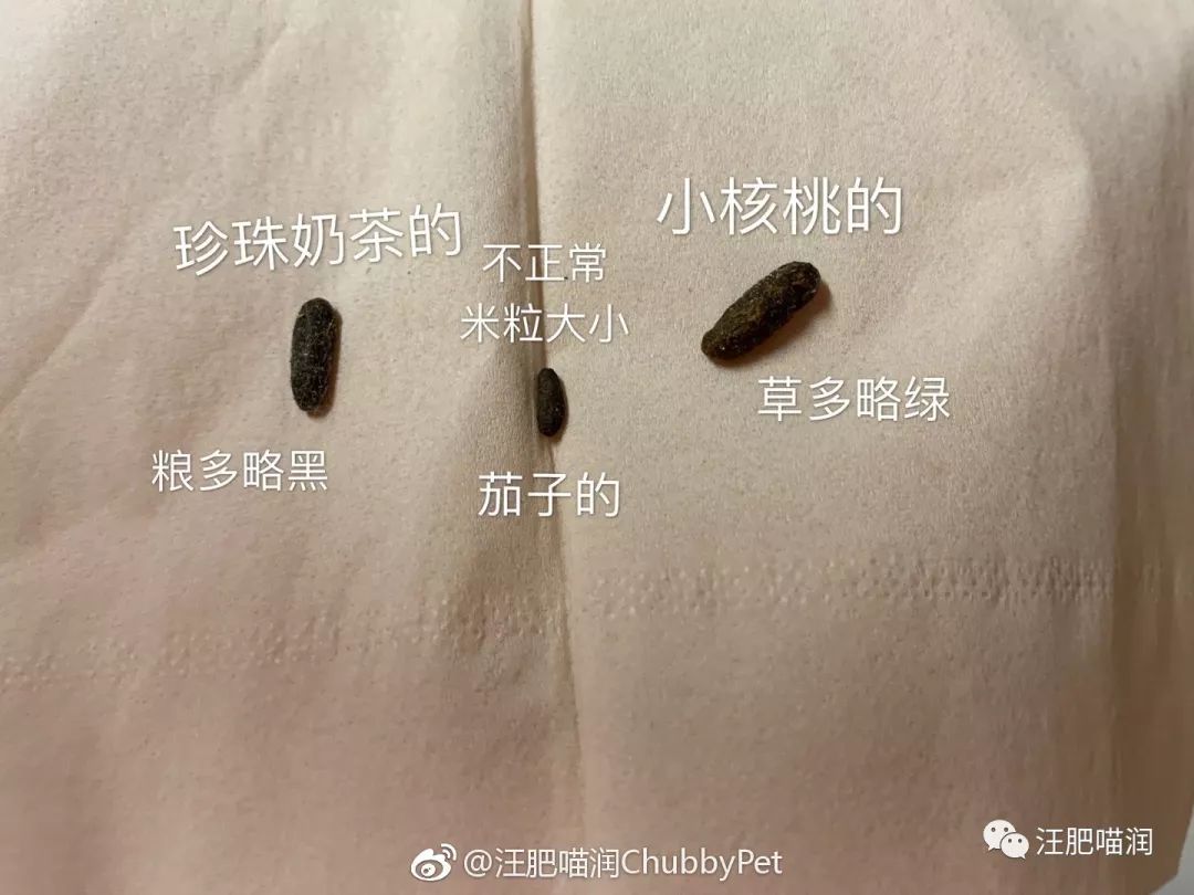 跑步机硅油什么牌子好_跑步机硅油什么牌子好_跑步机硅油什么牌子好