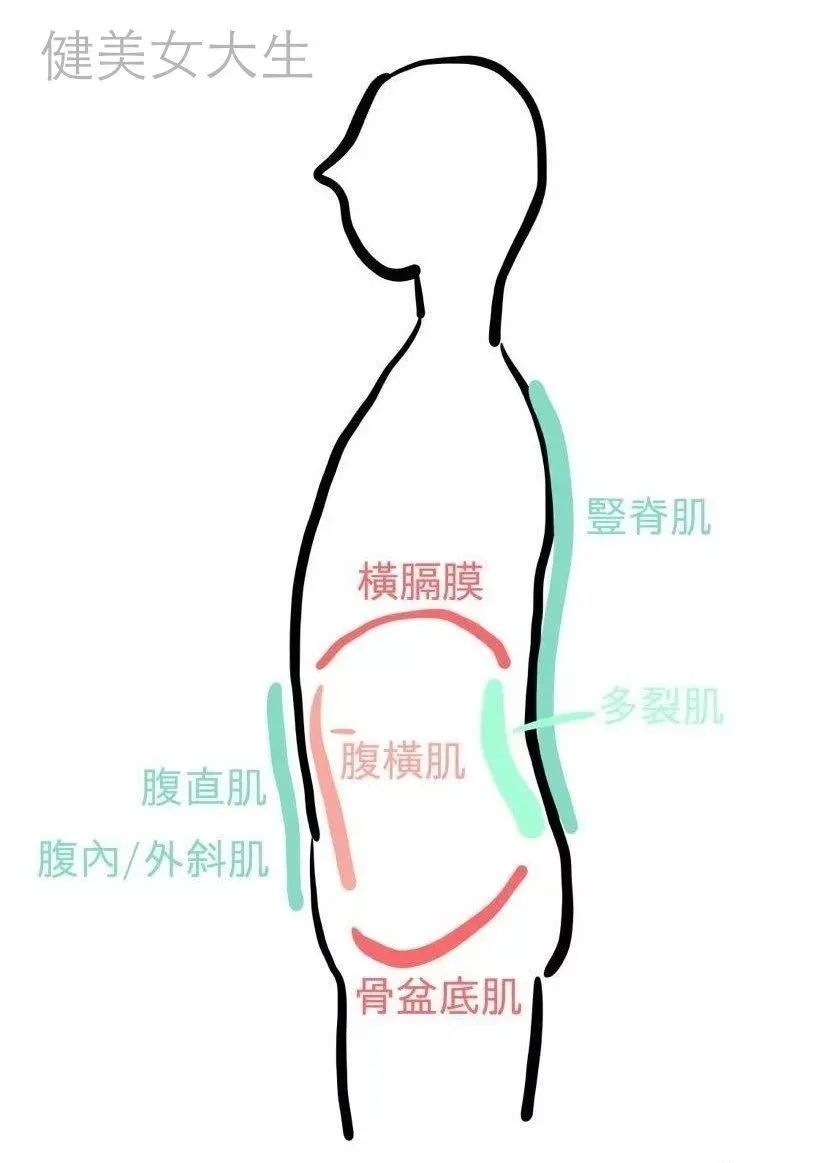 pg娱乐电子游戏 不同的呼吸方式，对姿势与力量训练的影响……