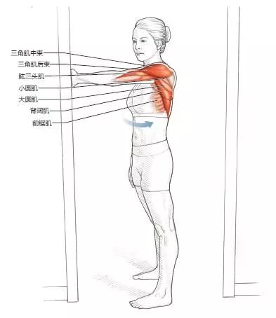 健身后拉伸的重要性_健身拉伸有用吗_拉伸对于健身的重要性