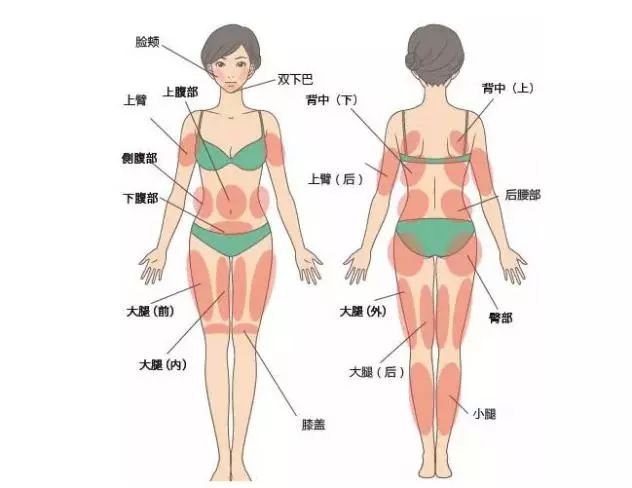 肌肉腿打了瘦腿针能保持多久_肌肉瘦腿针会反弹吗_小腿肌肉打过瘦腿针图