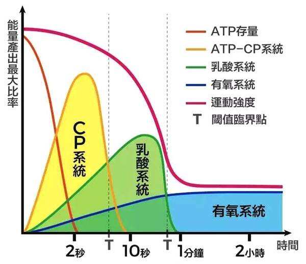 运动后过量氧耗_有氧运动不要超过_运动氧超过要有什么反应