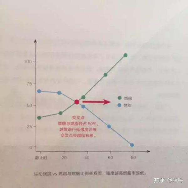 运动氧超过要有什么反应_运动后过量氧耗_有氧运动不要超过