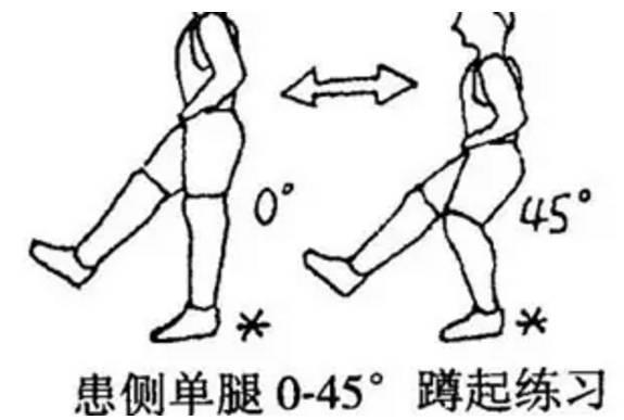 股后肌群训练6种方法_股后群肌包括_肌群训练方法的设计