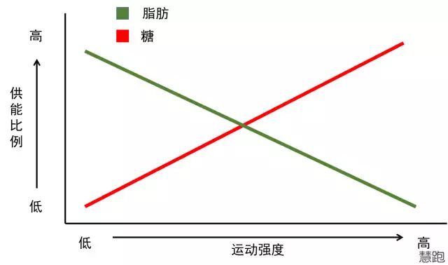 春雨医生