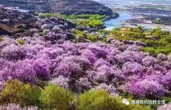 广场舞纳木错恋人杨艺广场舞_广场舞纳木错分解动作_广场舞纳木错恋人