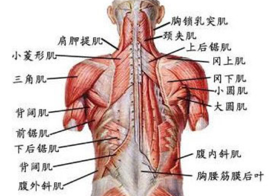 手套健身磨破了怎么办_健身带手套还磨手是什么原因_健身手套磨破