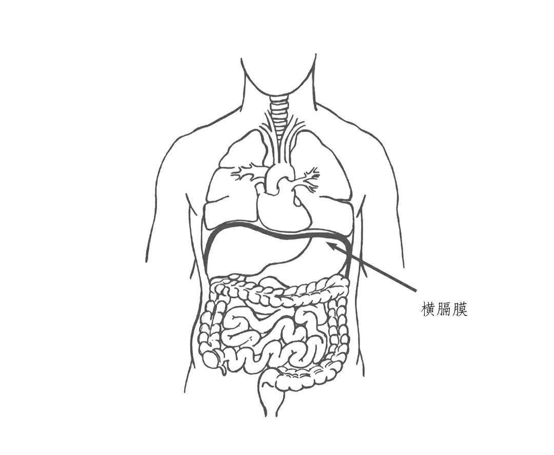 冥想鼻梁发胀_鼻子冥想变高让鼻子通气_怎样冥想让鼻子变高