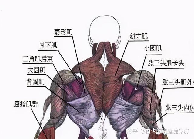 手套材质健身好不好_健身手套什么材质好_健身手套选择