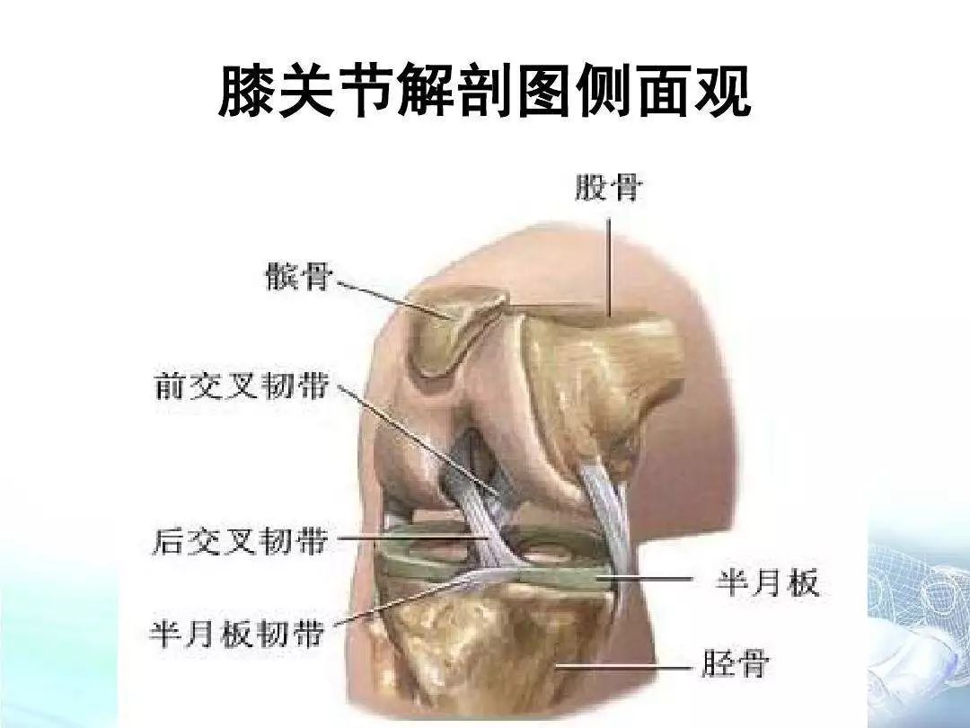 微信计步器什么原理_微信有走路计步器在哪_微信计步器准确吗