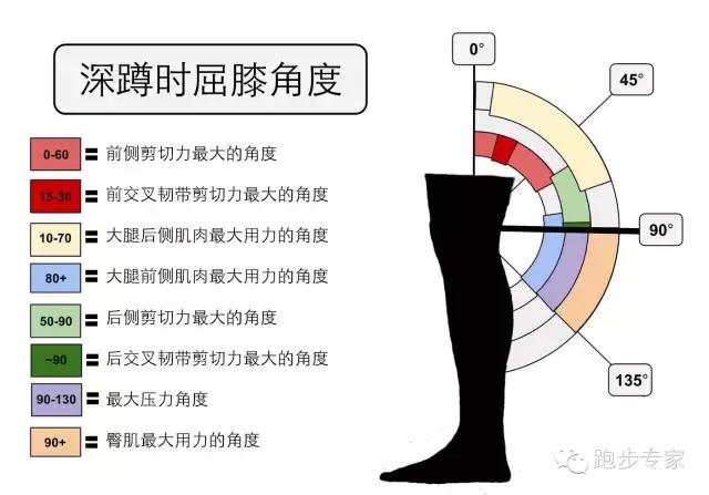 靠墙静蹲可以练大腿肌肉吗_靠墙静蹲能练出肌肉吗_练靠墙静蹲可以瘦腿吗