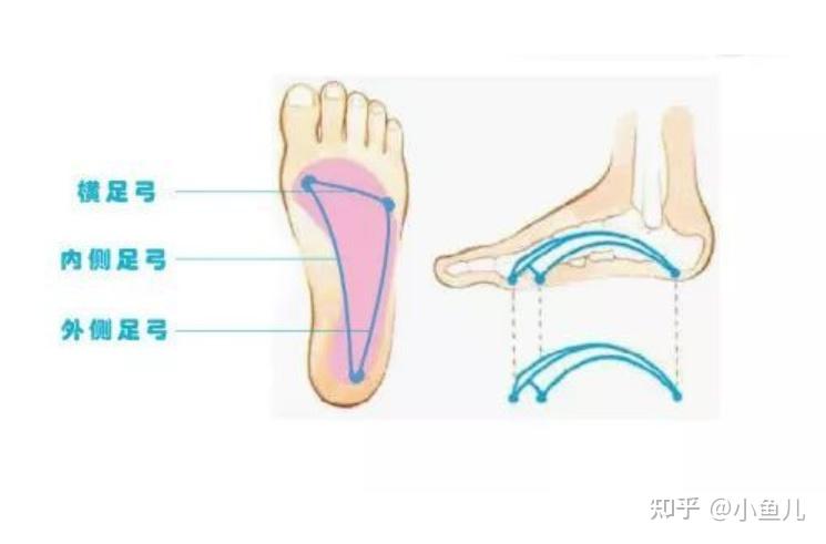 什么牌子跑步机质量好_口碑好的跑步机_牌子跑步质量机好用吗