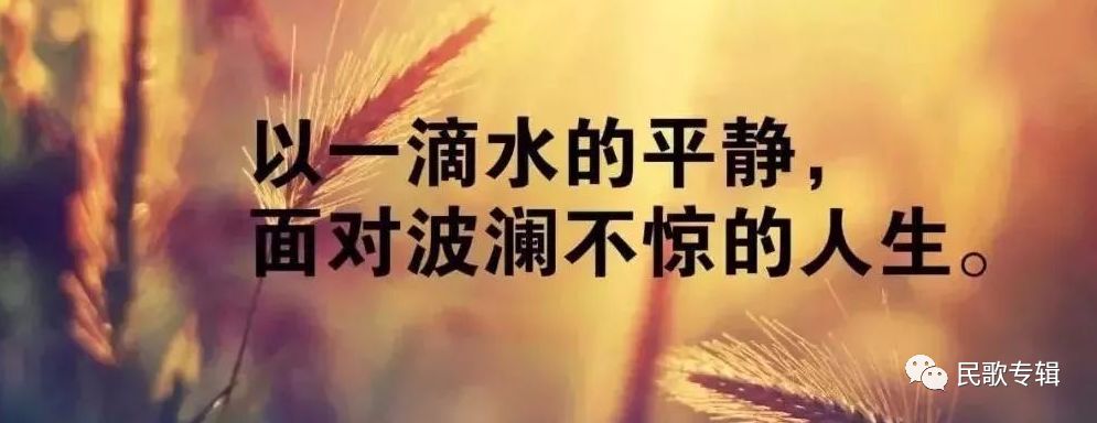 糖豆广场舞爱_爱你一百年广场舞_爱你年年年广场舞