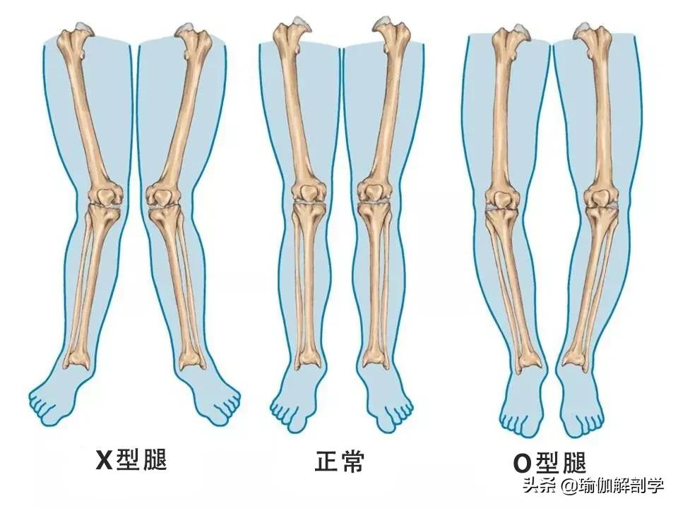 瑜伽能改善腿形吗_瑜伽腿型矫正_改善x型腿的瑜伽