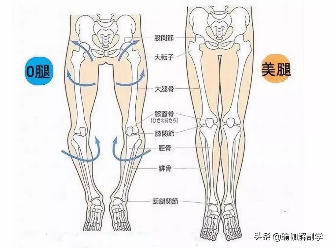 改善x型腿的瑜伽_瑜伽腿型矫正_瑜伽能改善腿形吗