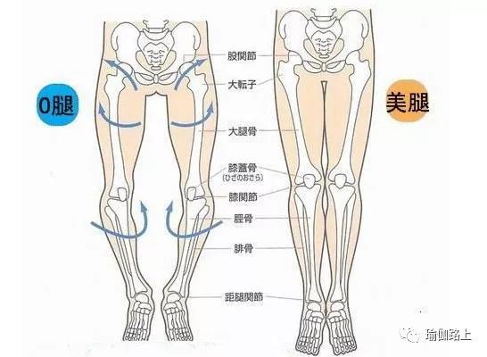 瑜伽腿型矫正_瑜伽改善腿型动作_改善x型腿的瑜伽