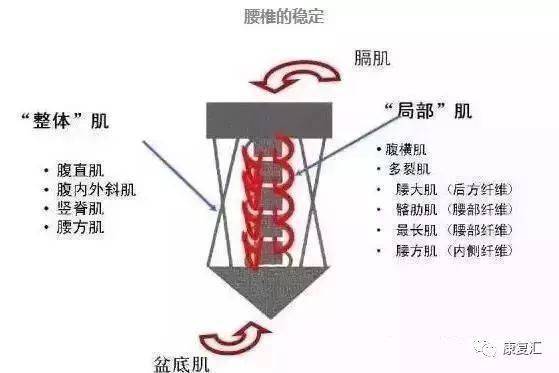 综合训练器训练方法_训练器是啥_训练器综合方法是什么